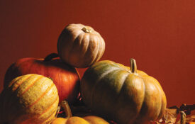 Collection of various pumpkins