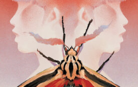 Illustrated Moth with a microphone on a stage